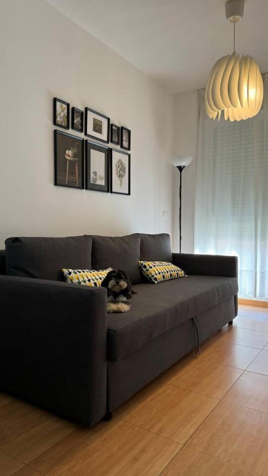 בוריאנה Apartamentos Felip 3 מראה חיצוני תמונה